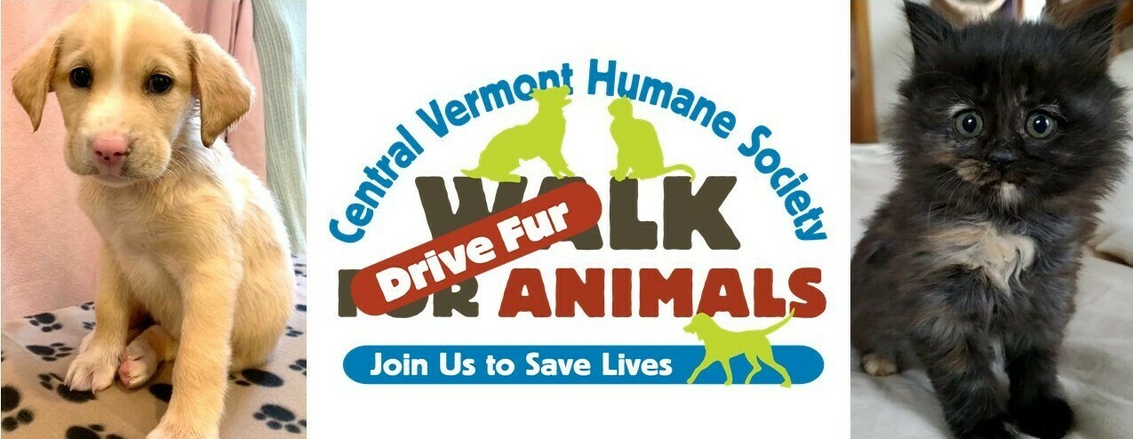 CVHS Walk for Animals 2021